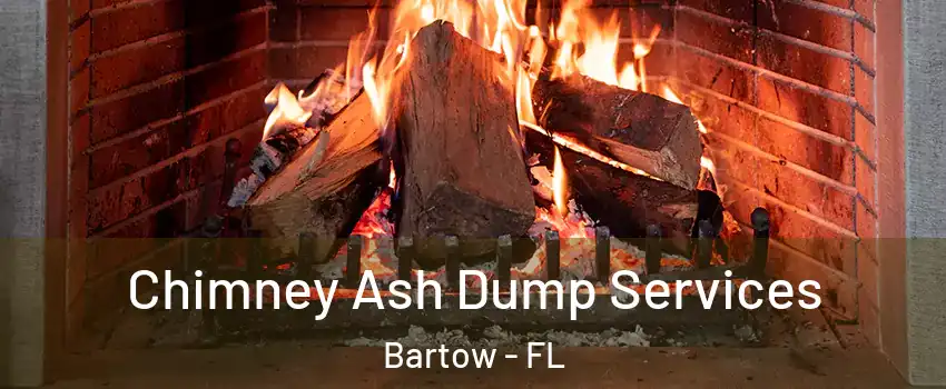  Chimney Ash Dump Services Bartow - FL