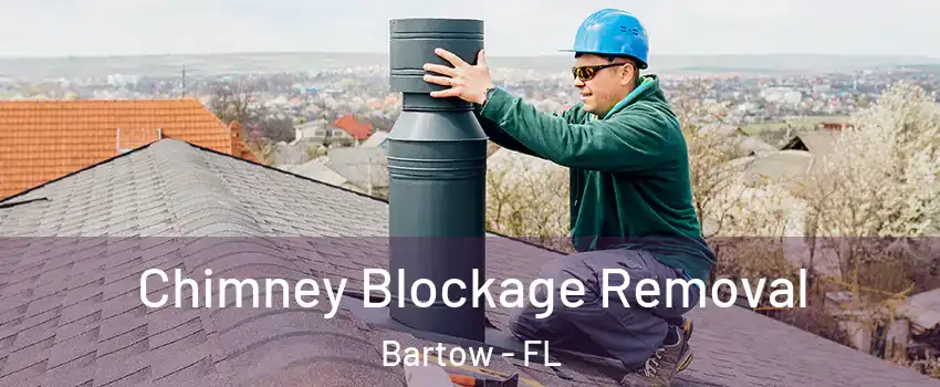  Chimney Blockage Removal Bartow - FL