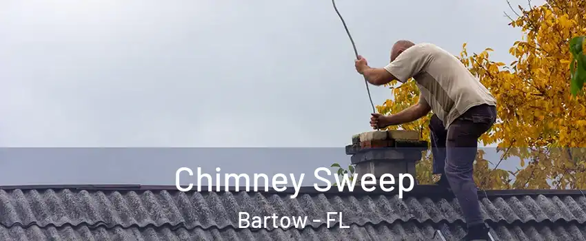  Chimney Sweep Bartow - FL