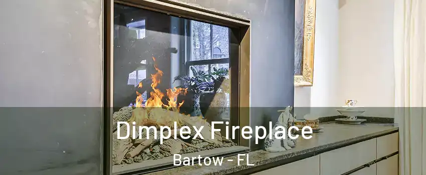  Dimplex Fireplace Bartow - FL