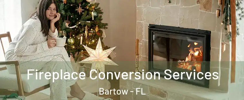  Fireplace Conversion Services Bartow - FL