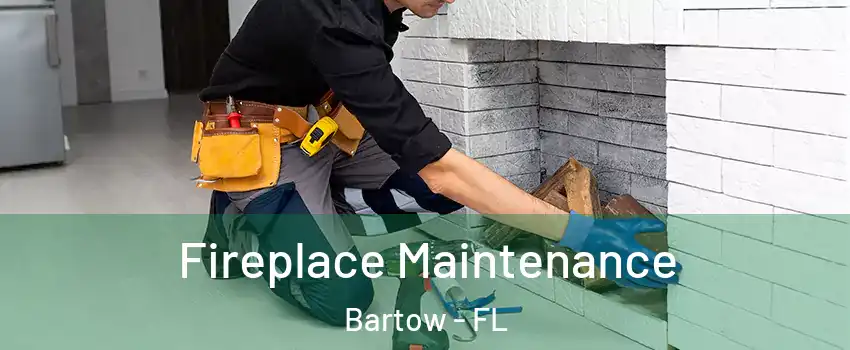  Fireplace Maintenance Bartow - FL