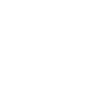 Professional Chimney Flue Installation in Bartow, Florida